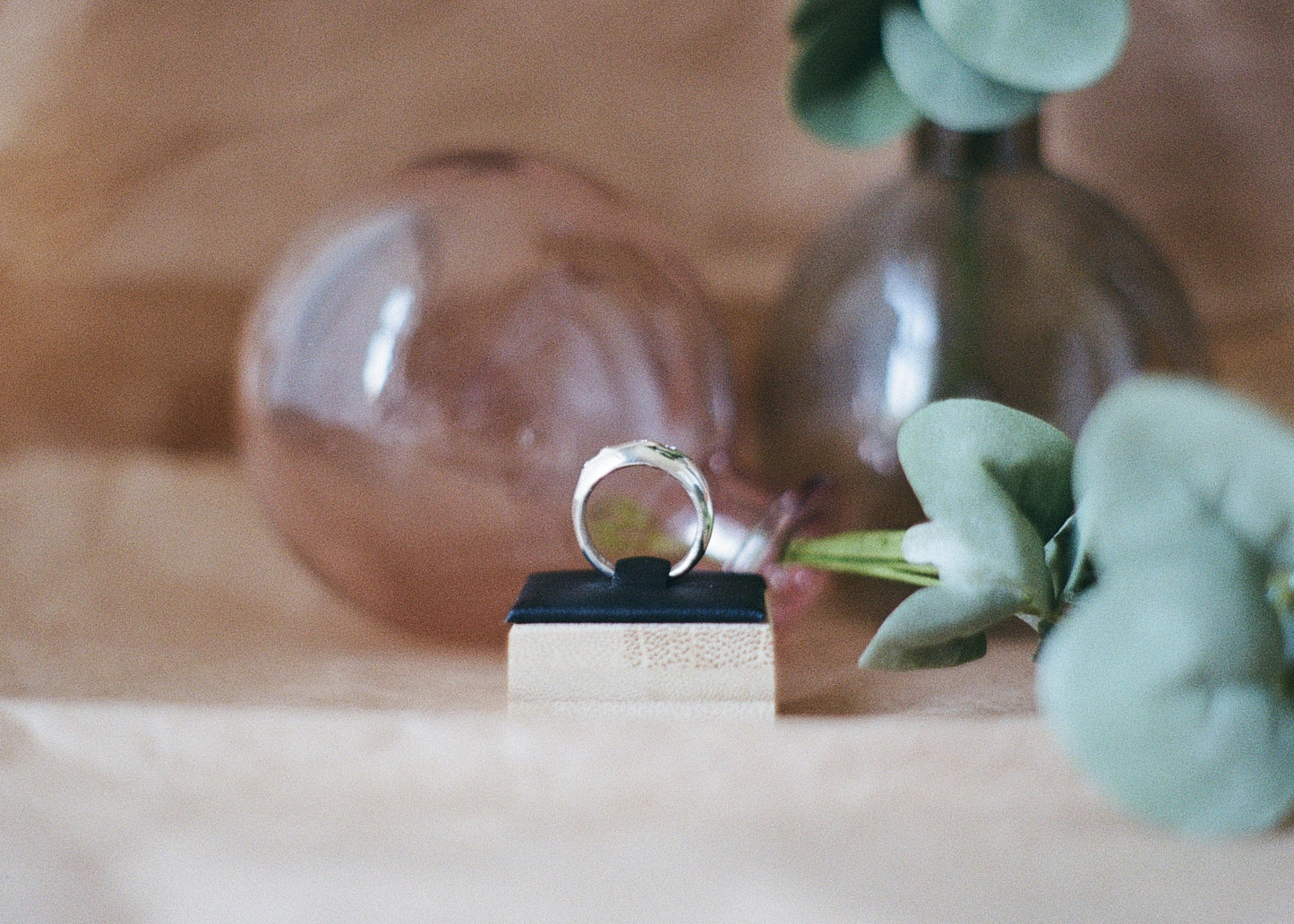 Soft Horizon Ring